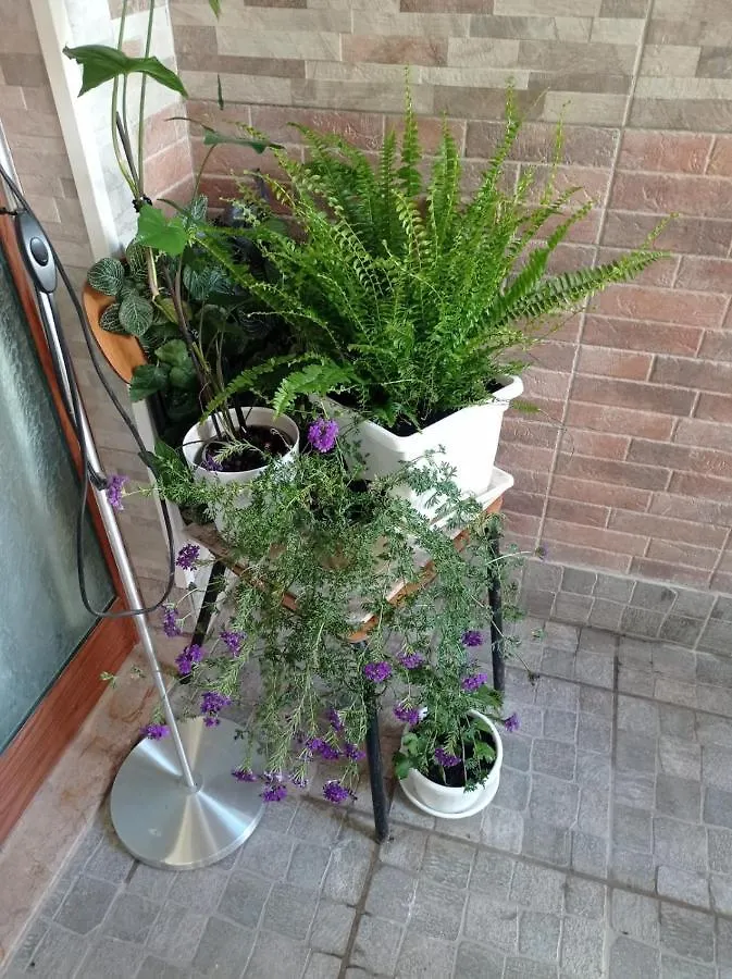 I Nuraghi II Apartment Cagliari